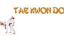 Taekwondo